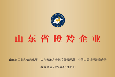 祝賀金孚環(huán)境入選2021年度《山東省瞪羚企業(yè)》(圖1)